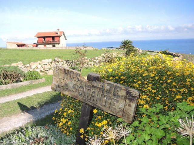 Hospedaje El Somante (Adults Only) San Vicente De La Barquera Εξωτερικό φωτογραφία